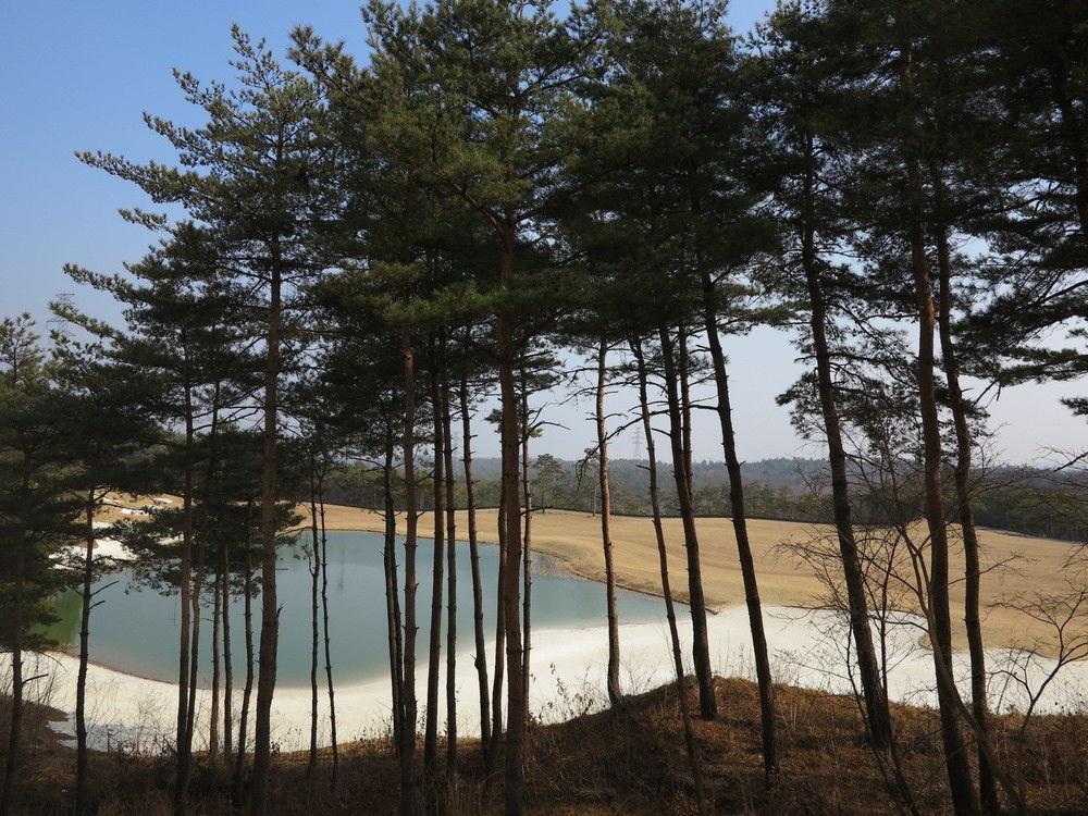 파인리즈 리조트 속초 외부 사진